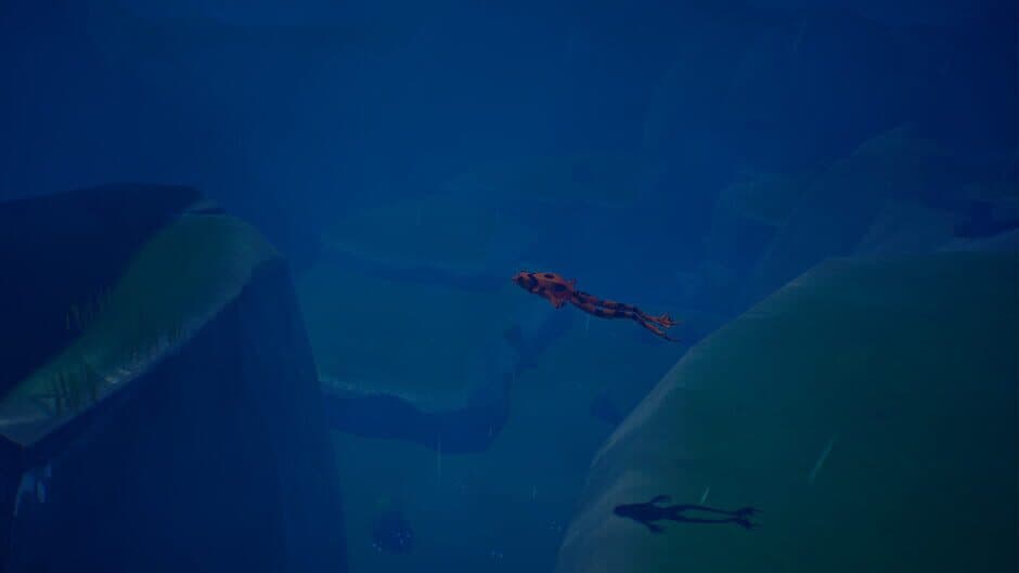 Jump Frog screenshot 3