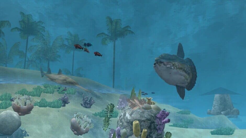 Wildlife Park 2: Marine World screenshot 1
