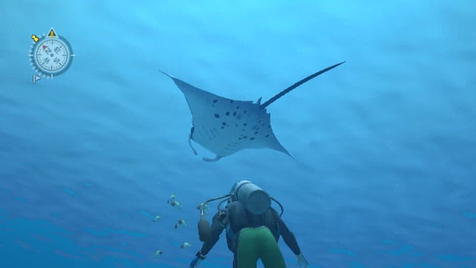 Endless Ocean screenshot 6