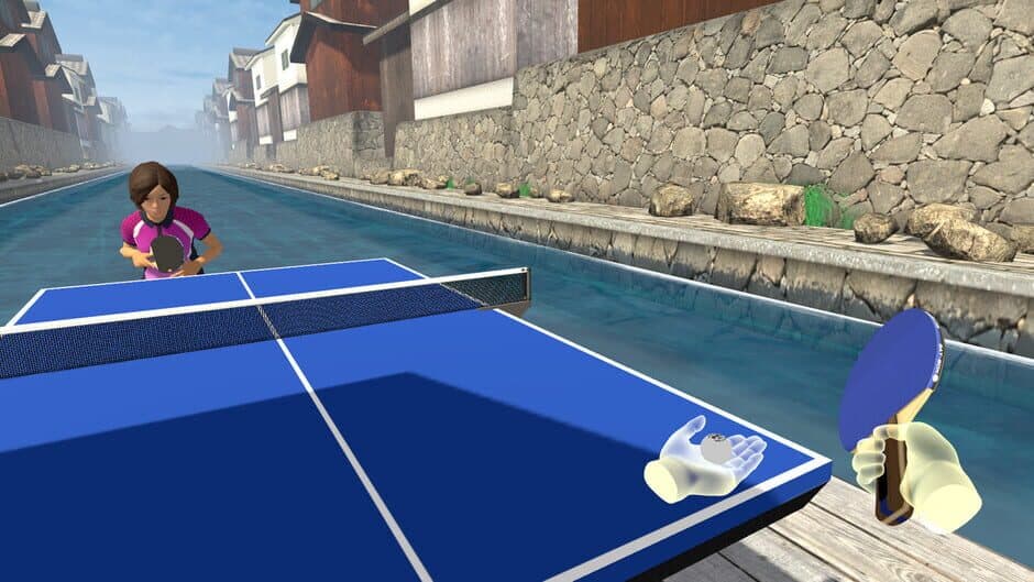 VR Ping Pong Paradise screenshot 3