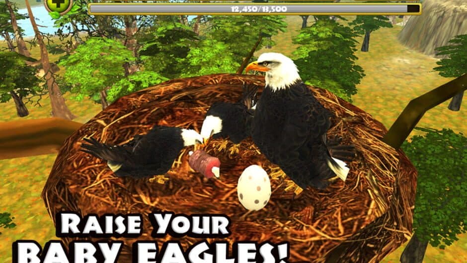 Eagle Simulator screenshot 2