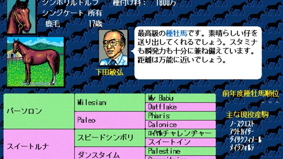 Winning Post screenshot 5