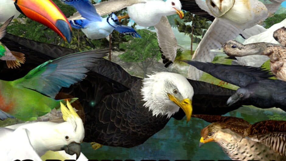 Ultimate Bird Simulator screenshot 4