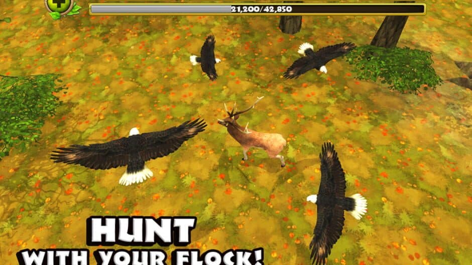 Eagle Simulator screenshot 3